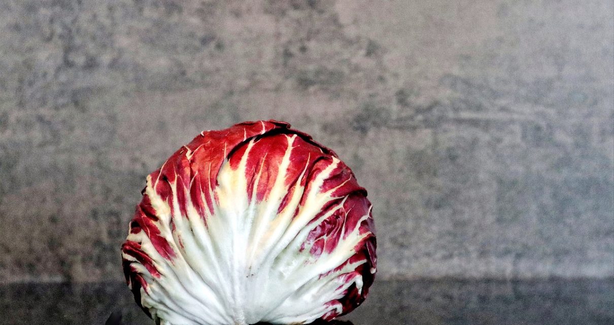 Salad, radicchio, food — A New Approach to Wellness: Stuart Piltch’s Vision for Health